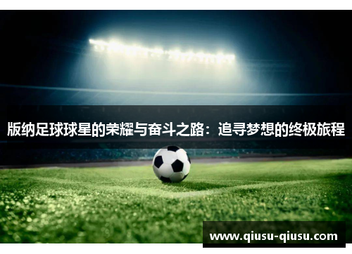 版纳足球球星的荣耀与奋斗之路：追寻梦想的终极旅程