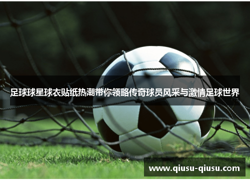足球球星球衣贴纸热潮带你领略传奇球员风采与激情足球世界