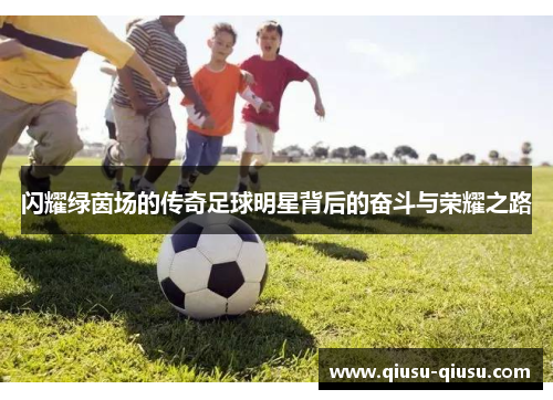 闪耀绿茵场的传奇足球明星背后的奋斗与荣耀之路
