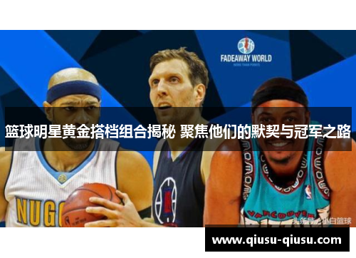 篮球明星黄金搭档组合揭秘 聚焦他们的默契与冠军之路